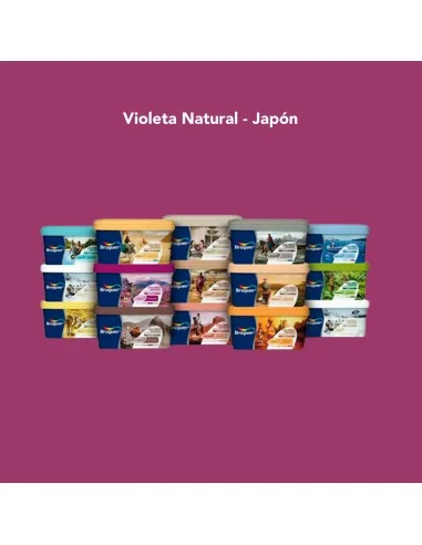 Pintura Color Ecológica Bruguer Colores Del Mundo Violeta Natural - Japón
