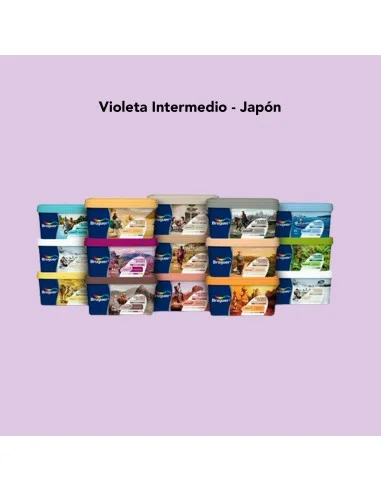 Pintura Color Ecológica Bruguer Colores Del Mundo Violeta Intermedio - Japón