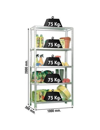 Estantería Metálica Advantage Plus 5/300 Galvanizado