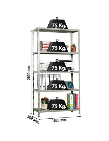 Estantería Metálica Advantage Plus 5/300 Gris