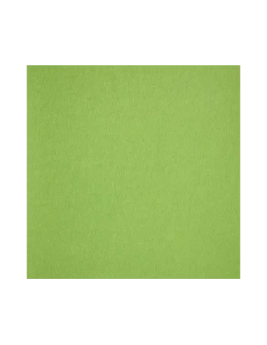Moqueta Ferial Hit + Polietileno Pistacho 4873 (Rollo 120M2)